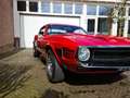 Ford Mustang GT350 Shelby matching numbers Rouge - thumbnail 5