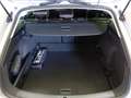 SEAT Leon SP Xcellence 2,0 TDI DSG 4Drive *LED, NAVI, AHK... Silber - thumbnail 14