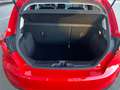 Ford Fiesta Active 1.0 Ecoboost Hybrid 125 CV Rosso - thumbnail 12