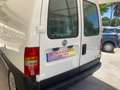 Fiat Scudo Scudo 2.0 MJT PC-TN Furgone 10q. Lusso Blanc - thumbnail 8