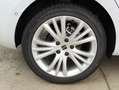 SEAT Leon Style Edition 1.5 TSI 115 PS Weiß - thumbnail 6