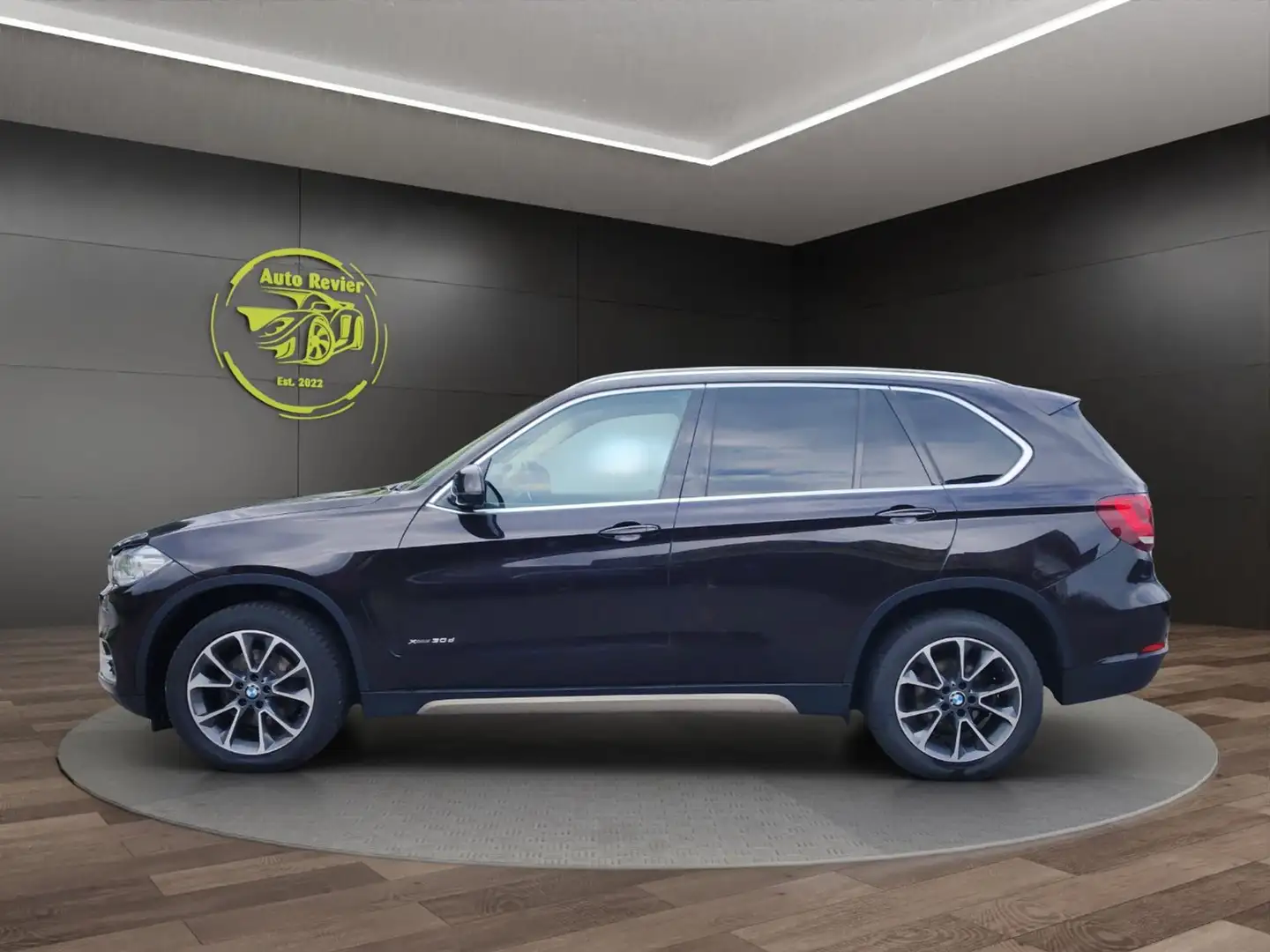 BMW X5 xDrive30d **harman/kardon** Braun - 2
