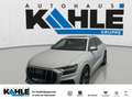 Audi SQ8 4.0 TFSI DSG quattro Pano Matrix ACC AHK LED Weiß - thumbnail 1