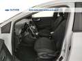Ford Puma 1.0 ecoboost hybrid Titanium s&s 125cv Weiß - thumbnail 17