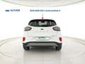 Ford Puma 1.0 ecoboost hybrid Titanium s&s 125cv Weiß - thumbnail 5