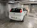 Fiat Punto 5p 1.2 Pop - thumbnail 2