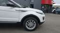 Land Rover Range Rover Evoque Land Mark IV eD4 150 2WD Blanc - thumbnail 10