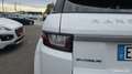 Land Rover Range Rover Evoque Land Mark IV eD4 150 2WD Blanc - thumbnail 7