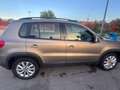 SEAT Alhambra Country 2.0 TDI 150CV DSG BMT 4Motion Beige - thumbnail 7