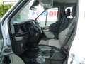 Ford Transit Pick-Up 2.0 TDCi 7places 49000Km L3 *23960+Tva* Blanc - thumbnail 10