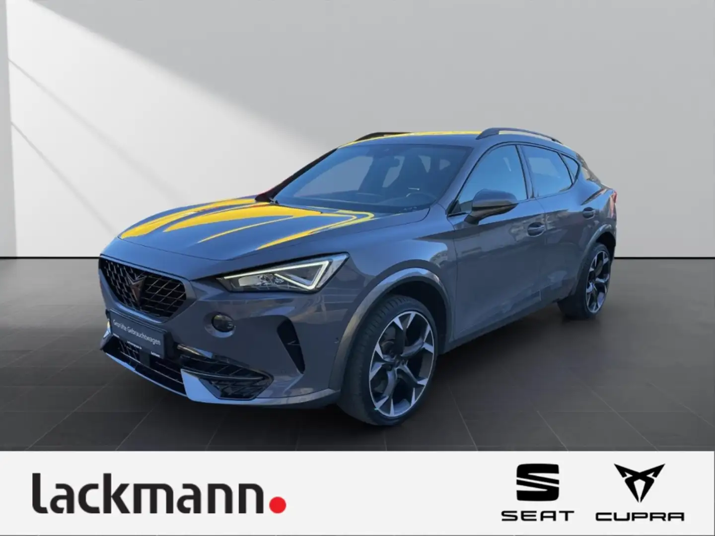 CUPRA Formentor 2.0 VZ 4Drive *Navi*LED*Panorama*Beats* Grau - 1