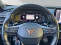 CUPRA Formentor 2.0 VZ 4Drive *Navi*LED*Panorama*Beats* Grau - thumbnail 14