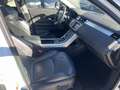 Land Rover Range Rover Evoque 5p td4 Launch edition 150cv - thumbnail 5