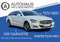 Mercedes-Benz CLS CLS 350 CDI Shooting Brake*PDC*SHZ*NAVI*LED*MEMO Alb - thumbnail 1