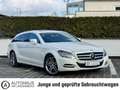 Mercedes-Benz CLS CLS 350 CDI Shooting Brake*PDC*SHZ*NAVI*LED*MEMO Alb - thumbnail 3