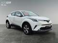 Toyota C-HR 1.2 Turbo Flow *RFK* Blanco - thumbnail 8