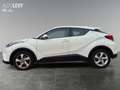 Toyota C-HR 1.2 Turbo Flow *RFK* Blanco - thumbnail 3