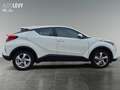 Toyota C-HR 1.2 Turbo Flow *RFK* Blanco - thumbnail 7