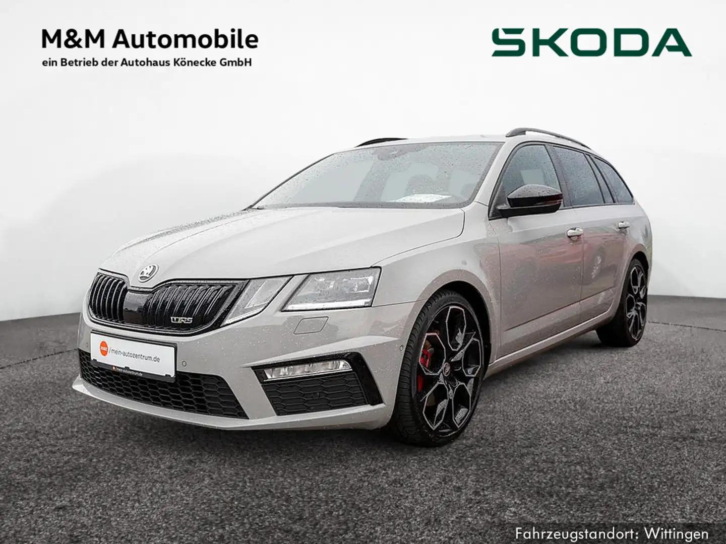 Skoda Octavia Combi 2.0 TDI RS 60 4x4 AHK STHZG LED Grey - 1