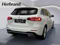 Mercedes-Benz B 180 Progressive MULTIBEAM 360° Kamera Advanced Weiß - thumbnail 3