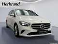Mercedes-Benz B 180 Progressive MULTIBEAM 360° Kamera Advanced Weiß - thumbnail 2