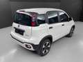 Fiat Panda 1.0 Firefly Hybrid City Cross S&S 70cv 5posti Bianco - thumbnail 5