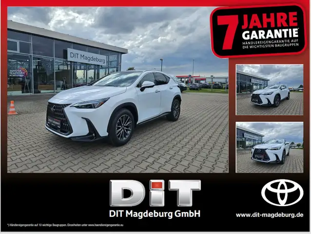 Lexus NX 450h+ Executive Pano Techno. + Interieur-Paket
