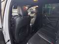 Ford Ranger Raptor 2.0 tdci double cab 213cv aut Fehér - thumbnail 13