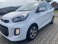 Kia Picanto 1.0 Edition7 /1Hand /PDC/Klima Bianco - thumbnail 3