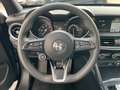 Alfa Romeo Stelvio 2.2 TDI Business RWD 160CV AT8 Grigio - thumbnail 9