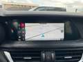 Alfa Romeo Stelvio 2.2 TDI Business RWD 160CV AT8 Grigio - thumbnail 12