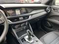 Alfa Romeo Stelvio 2.2 TDI Business RWD 160CV AT8 Grigio - thumbnail 11