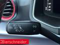 SEAT Ibiza 1.0 TSI DSG FR NAVI BEATS REAR VIEW SHZ Rot - thumbnail 38