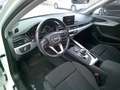 Audi A4 allroad 2.0 tdi Business Evolution 163cv s-tronic Bianco - thumbnail 7