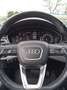 Audi A4 allroad 2.0 tdi Business Evolution 163cv s-tronic Bianco - thumbnail 11