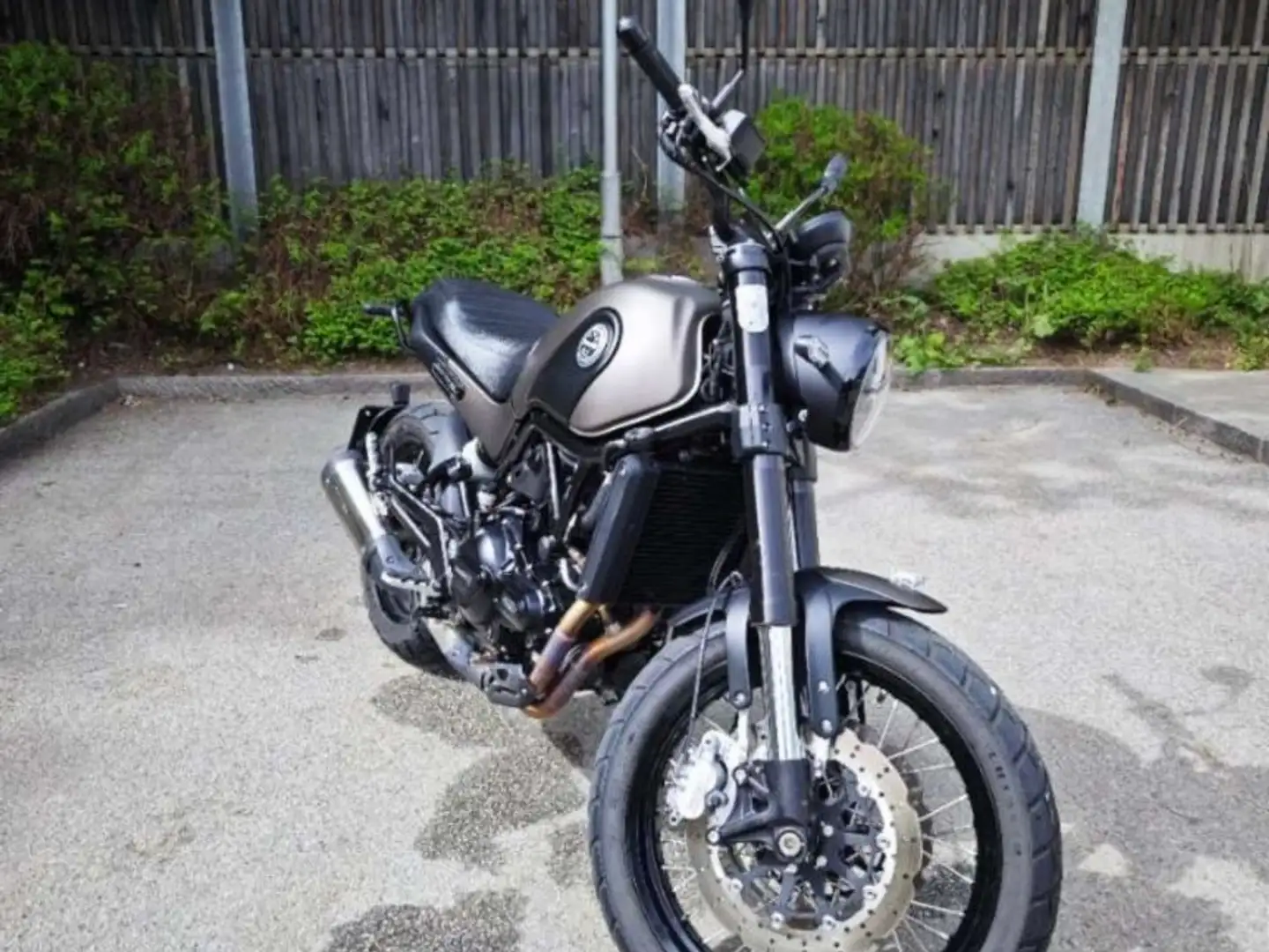 Benelli Leoncino Benelli Leoncino Naked Bike Green - 1