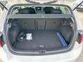 Volkswagen Golf 1.5 TGI 5p. Executive BlueMotion Technology Blanc - thumbnail 13