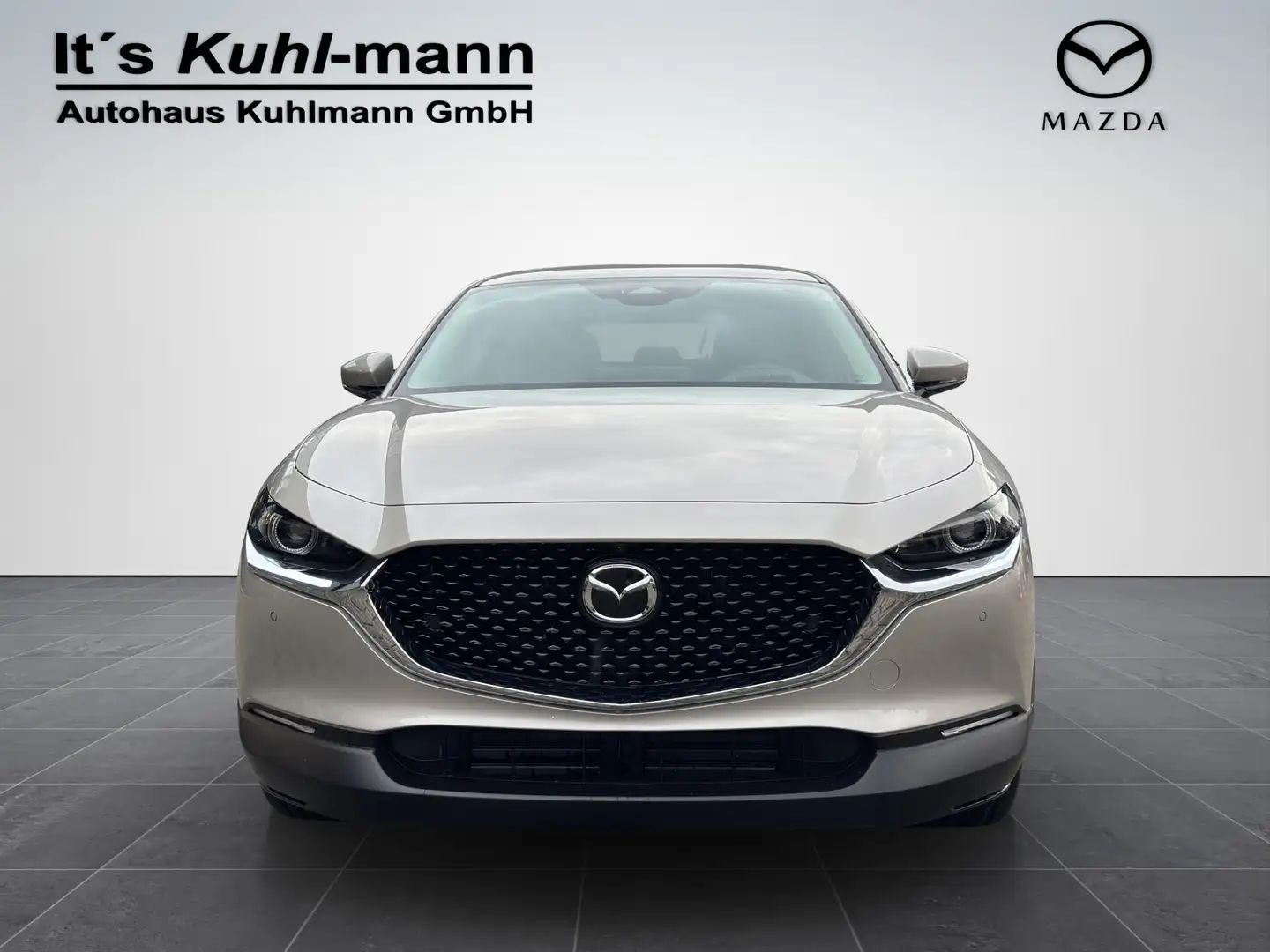 Mazda CX-30 2.5L e-SKYACTIV G 140ps Exclusive-Line Silber - 2