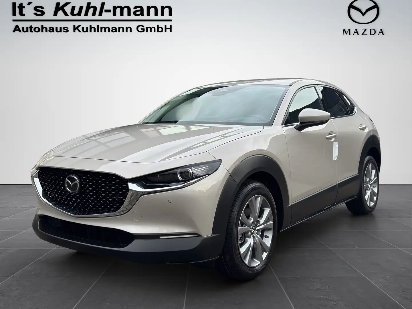 Mazda CX-30 2.5L e-SKYACTIV G 140ps Exclusive-Line Silber - 1