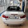 BMW 435 i Cabrio Sport Line Navi Head-Up Leder LED Bianco - thumbnail 7