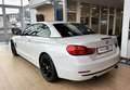 BMW 435 i Cabrio Sport Line Navi Head-Up Leder LED Bianco - thumbnail 6