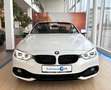 BMW 435 i Cabrio Sport Line Navi Head-Up Leder LED Bianco - thumbnail 3