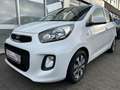 Kia Picanto Dream Team 1.0*KLIMA*GARANTIE*TÜV*1HAND* Weiß - thumbnail 4