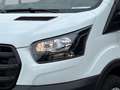 Ford Transit Transit Kasten 130PS Diesel/Schaltgetriebe 2,0 ... Weiß - thumbnail 7