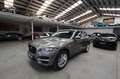 Jaguar F-Pace 20d AWD Pure Aut. Grau - thumbnail 7
