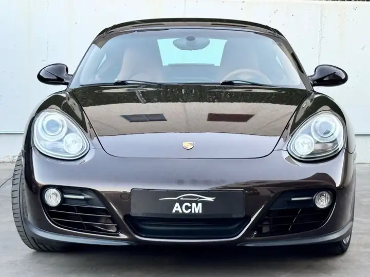 Porsche Cayman 2010, foto 14