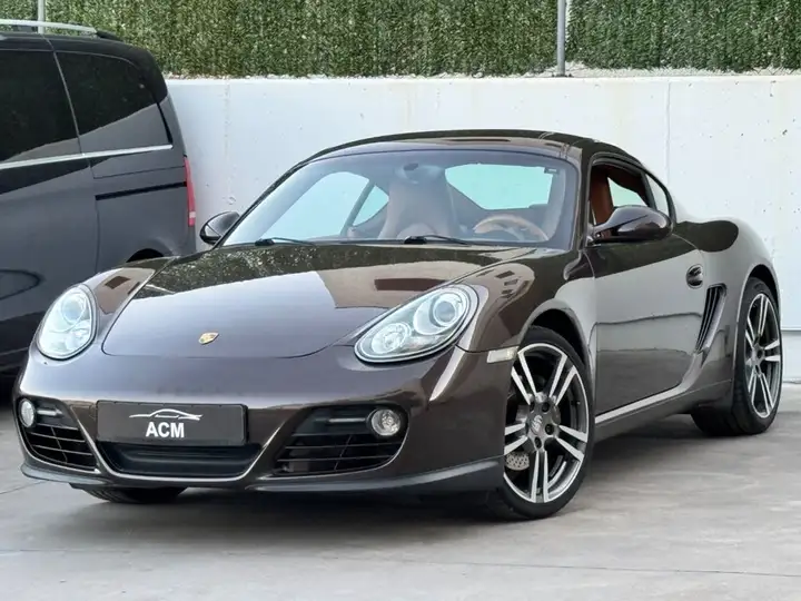 Porsche Cayman 2010, foto 12