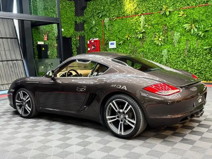 Porsche Cayman 2010, foto 5