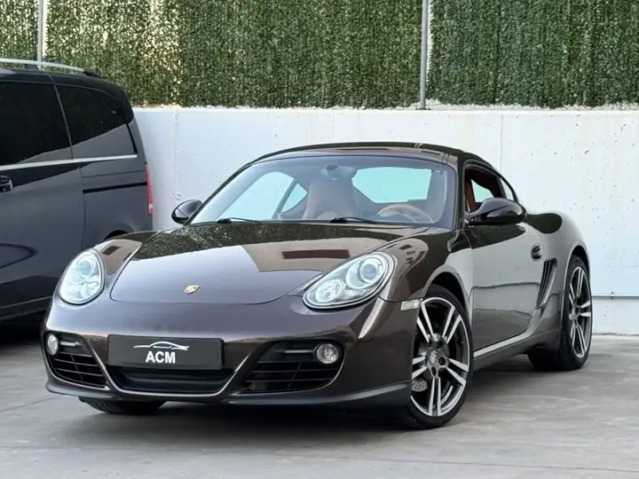 Porsche Cayman 2010, foto 20