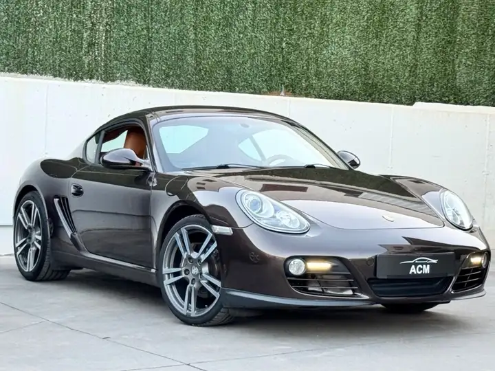 Porsche Cayman 2010, foto 13